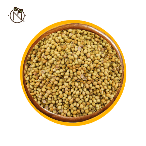 Whole Coriander (পুরো ধনিয়া)